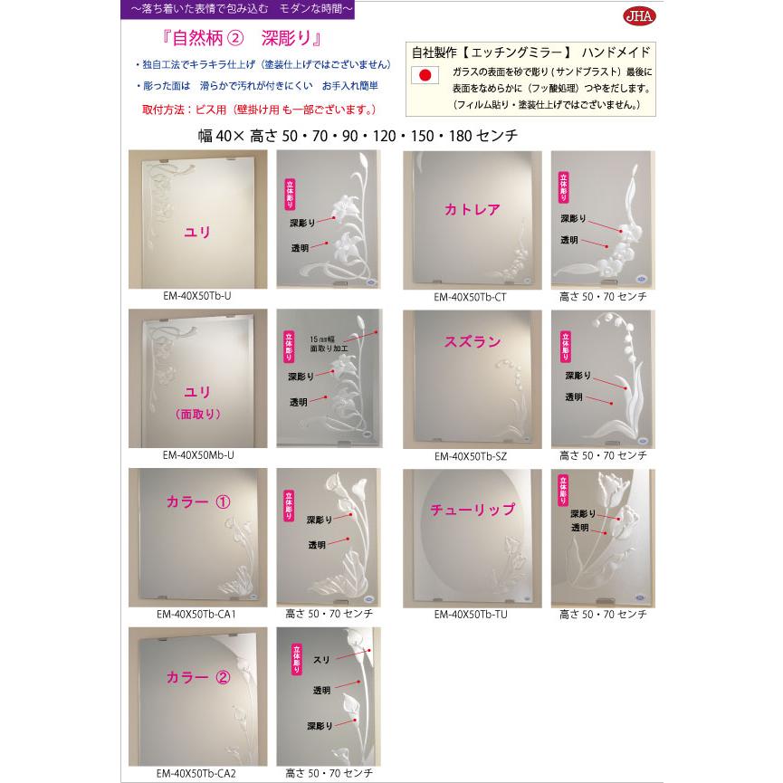 姿見鏡鑑 姿見鏡 JHA絵図面鏡鑑 (薔薇３) W400×H1500 (面取り) (螺旋釘用) EM-40X150Mb-R3 防湿 ノンひな型 入り口・入口 五体鏡 五体鏡鑑