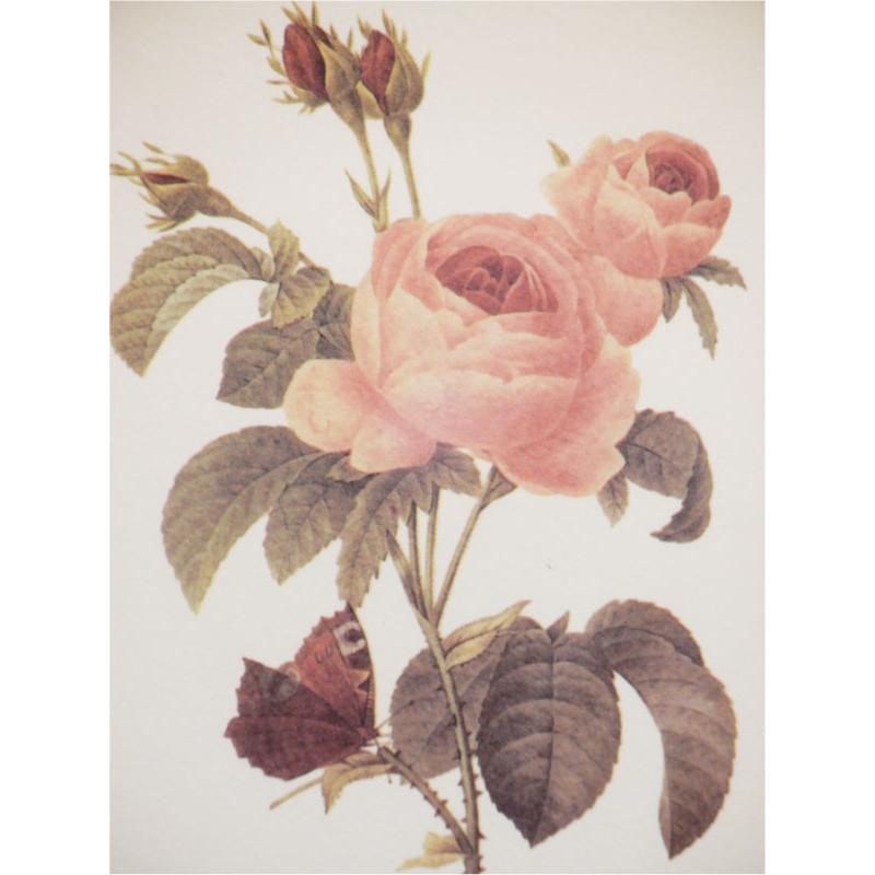 JHA 額絵 絵画 壁掛け イタリア製 JHAアンティークフレーム 上品