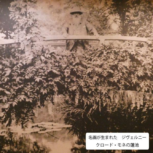 額絵 絵画 アートポスター 世界の名画 モネ「睡蓮」＆イタリア製 マルモッタン・モネ美術館 アンティーク・ゴールドフレーム W578×H475 IP-104 美術館 【各種】