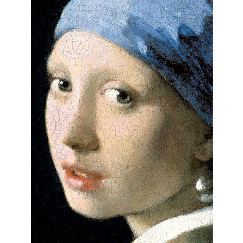 保障できる 絵画 JHA アート額絵 フェルメール「真珠の耳飾りの 世界の名画 絵画