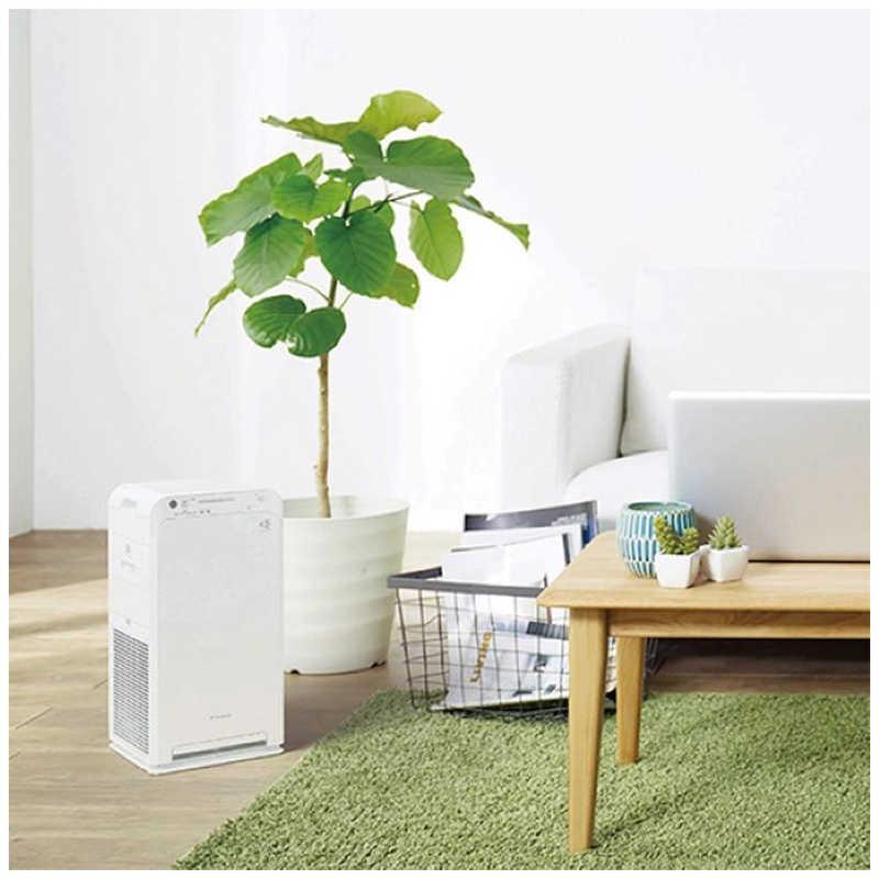 ダイキン（DAIKIN） ストリーマ空気清浄機 MC555A-W コンパクトタイプ 