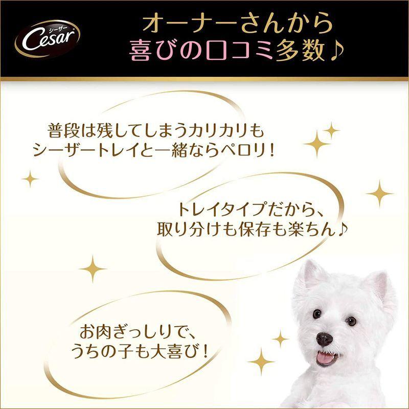 シーザー ドッグフード 11歳からの 吟選ビーフ シニア犬用 100g×96個 (ケース販売) ドッグフード 11歳からの 吟選ビーフ シニア犬用 100g×96個 ケース販売