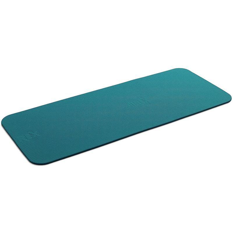 AIREX(エアレックス) トレーニングマット フィットライン180 厚さ10mm ウォーターブルー FITLINE 180 FITLINE FITLINE ウォーターブルー エアレックス トレーニングマット フィットライン180 厚さ10mm
