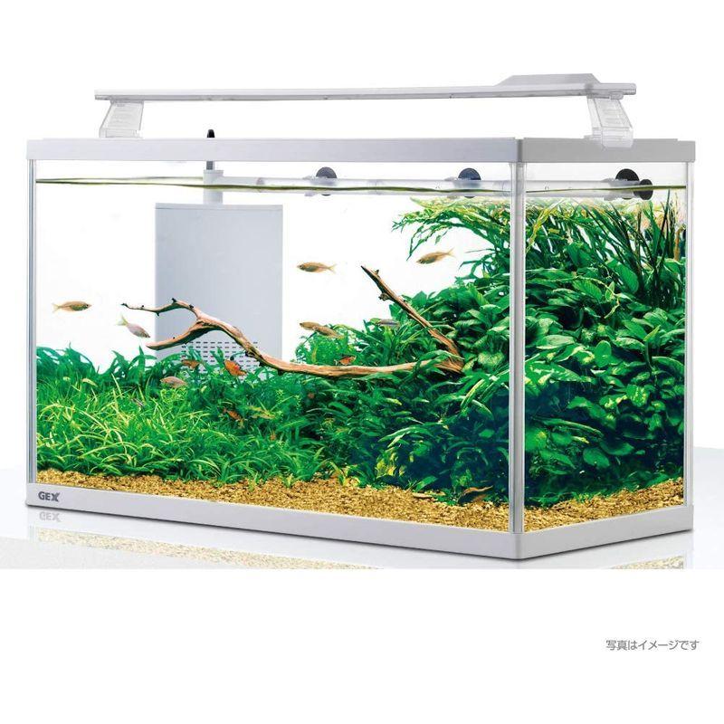 水槽 活魚水槽 うしお 生簀 アクリル 2型 いけす ディスプレイ 飼育 活魚 鮮魚店 潮