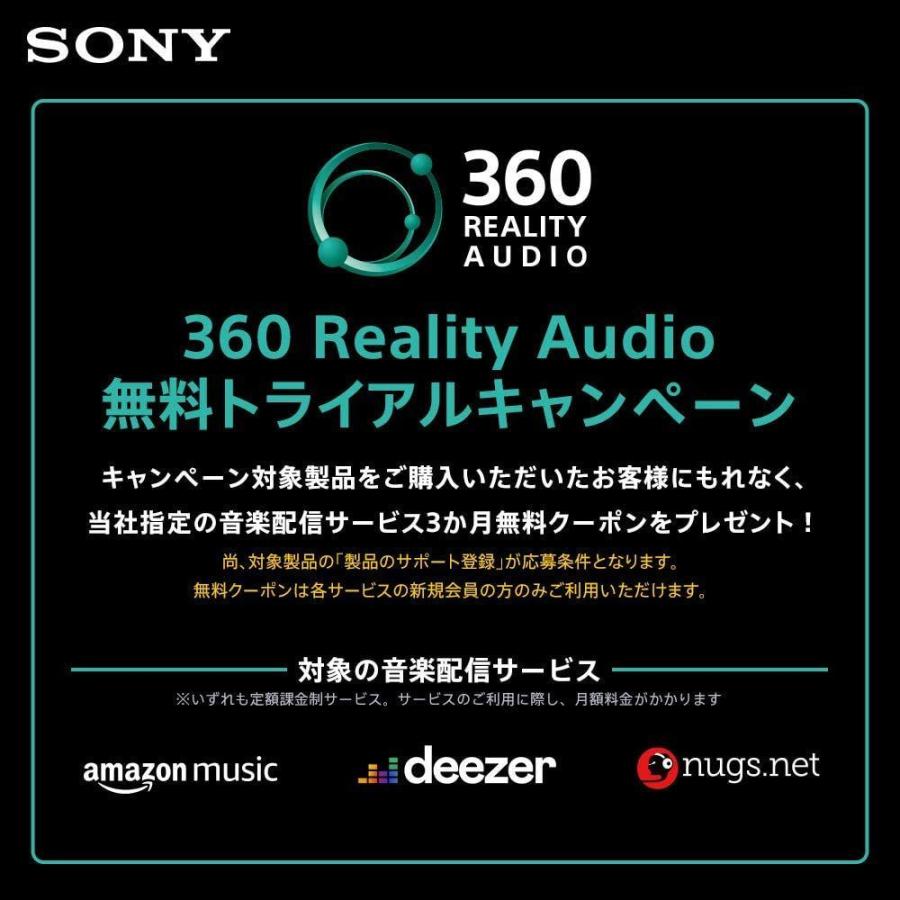 ソニー イヤホン h.ear in 2 IER-H500A : ハイレゾ対応 カナル型 リモコン・マイク付き 2017年モデル グレイッシュ イヤホン ear in IER H500A ハイレゾ対応 カナル型 リモコン マイク付き 2017年モデル グレイッシュ