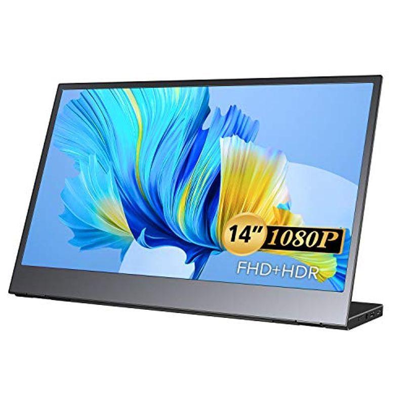 レノボ・ジャパン 61DDUAR6JP ThinkVision M14 レノボ・ジャパン M14