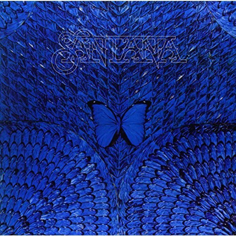 Borboleeta 12 inch Analog