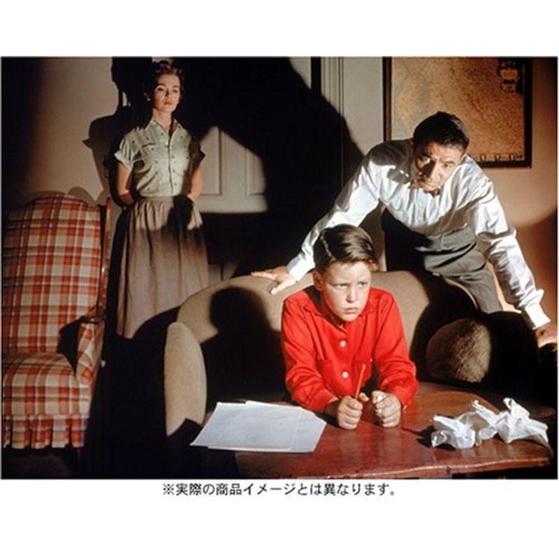 ニコラス・レイ「ビガーザンライフ(黒の報酬)」　「危険な場所で」 DVDセット 黒の報酬 | ビガー・ザン・ライフ ビガーザンライフ ニコラス・レイ