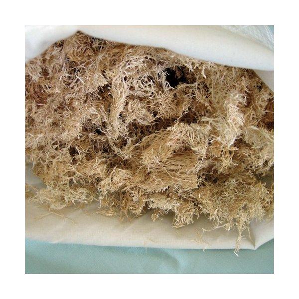 へちま枕 S  産地直送 国産 ヘチマ 通気性 吸水性 防虫 防菌 清潔 天然 ナチュラル 送料無料 富山 ヘチマ産業 |  | 01