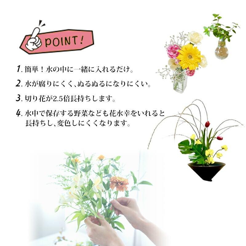 花 長持ち 花水幸 2B 錫100% 特許製品 水質改善 浄化 剣山 純錫の