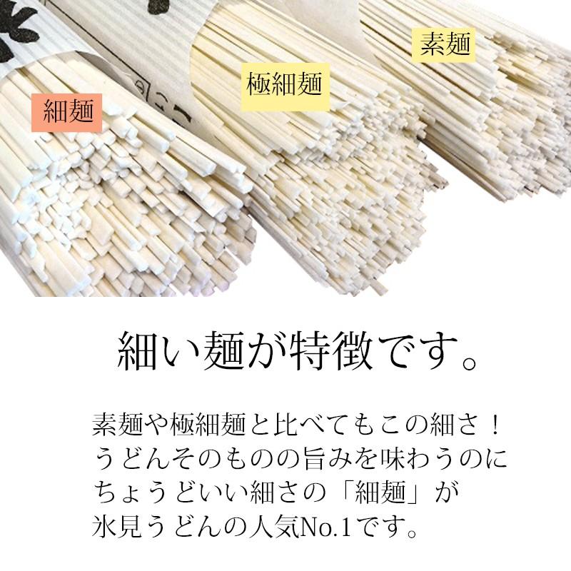 915円 日本最大級 富山 海津屋 氷見うどん細麺5本入つゆ