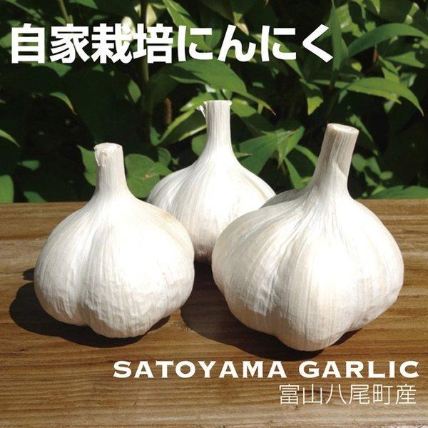 長期熟成 黒にんにく 100g 富山産 減農薬栽培 保存料無添加 着色料無