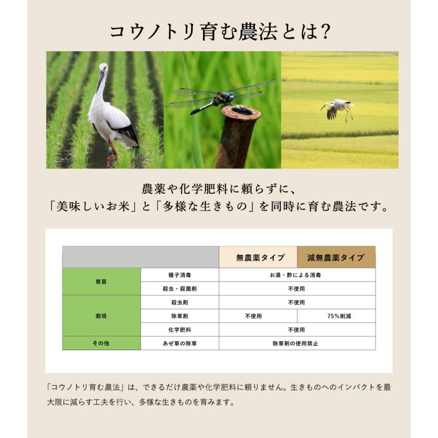 令和５年産 新米 減農薬  コウノトリ育むお米2kg 特別栽培米 コシヒカリ特A 減農薬米 減農薬米2kg 低農薬米 低農薬白米 低農薬 減農薬 米｜jigomeya｜04