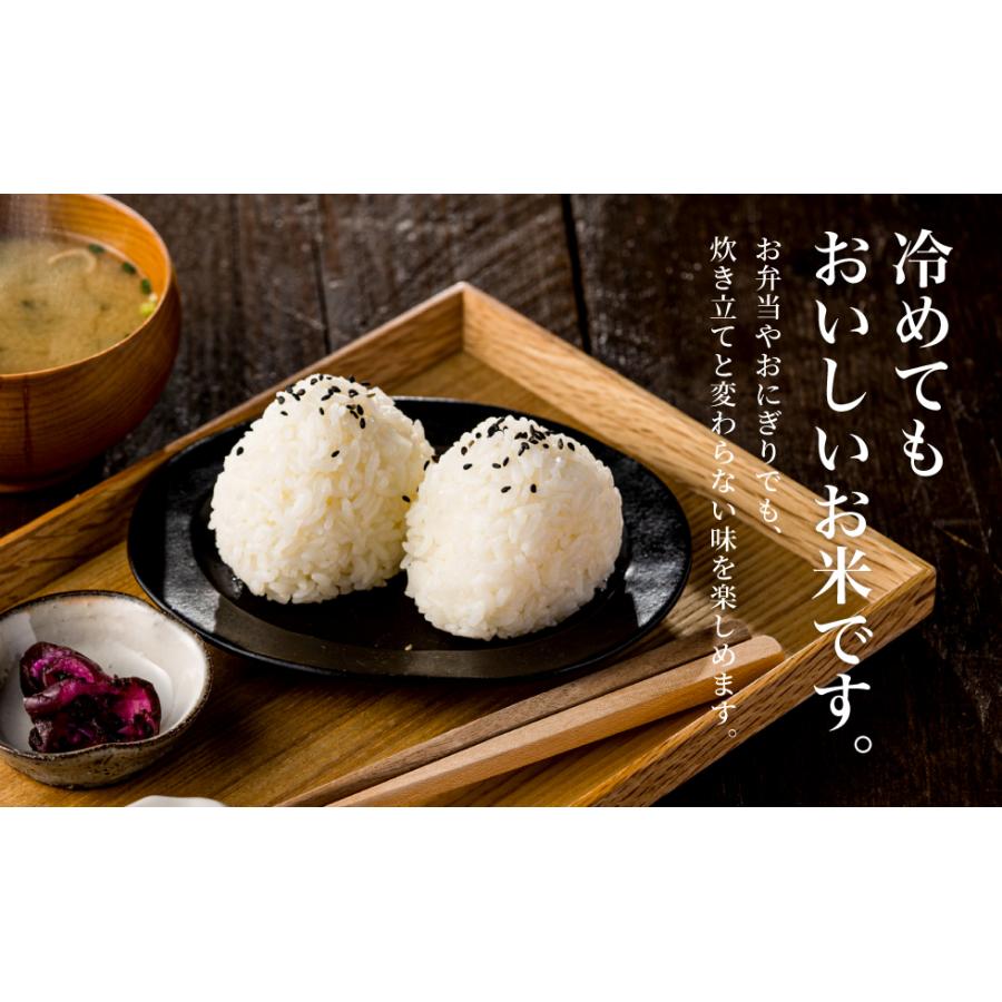 コシヒカリ 令和7年産 食味 特A 兵庫県 但馬 天空の城 竹田城
