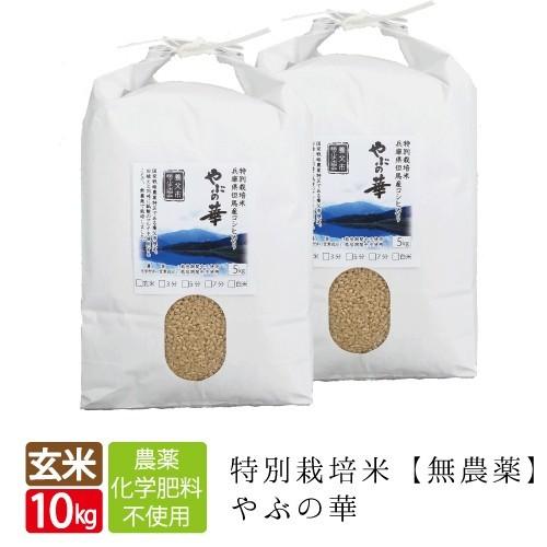 令和５年度　減農薬コシヒカリ玄米１０キロ 値下げ 自然栽培 コシヒカリ 完全無農薬無肥料 令和5年新米 玄米10キロ