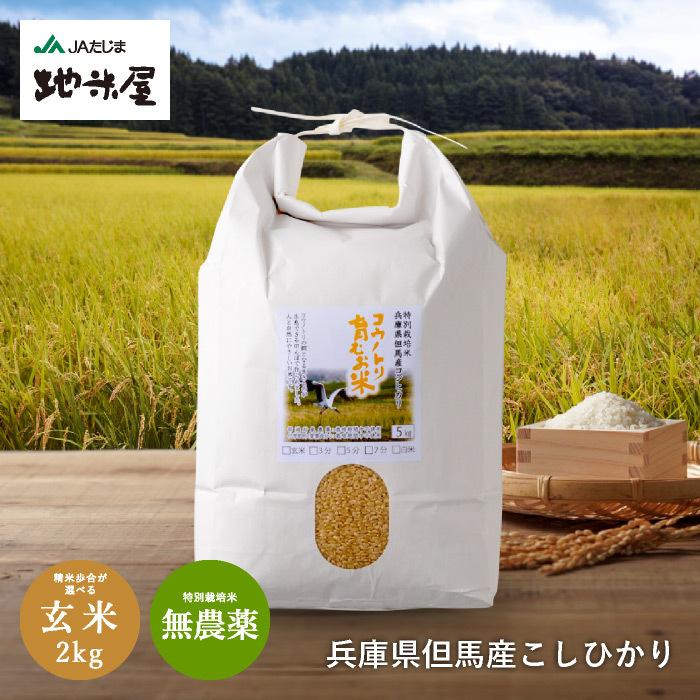 コシヒカリ 新米 令和7年産 無農薬 玄米 無化学肥料 送料無料 玄米 2kg