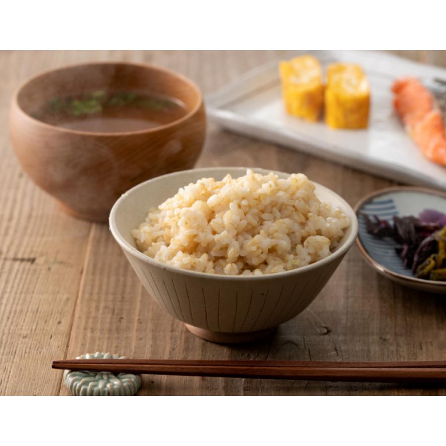 コシヒカリ 新米 令和7年産 無農薬 玄米 無化学肥料 送料無料 玄米 2kg