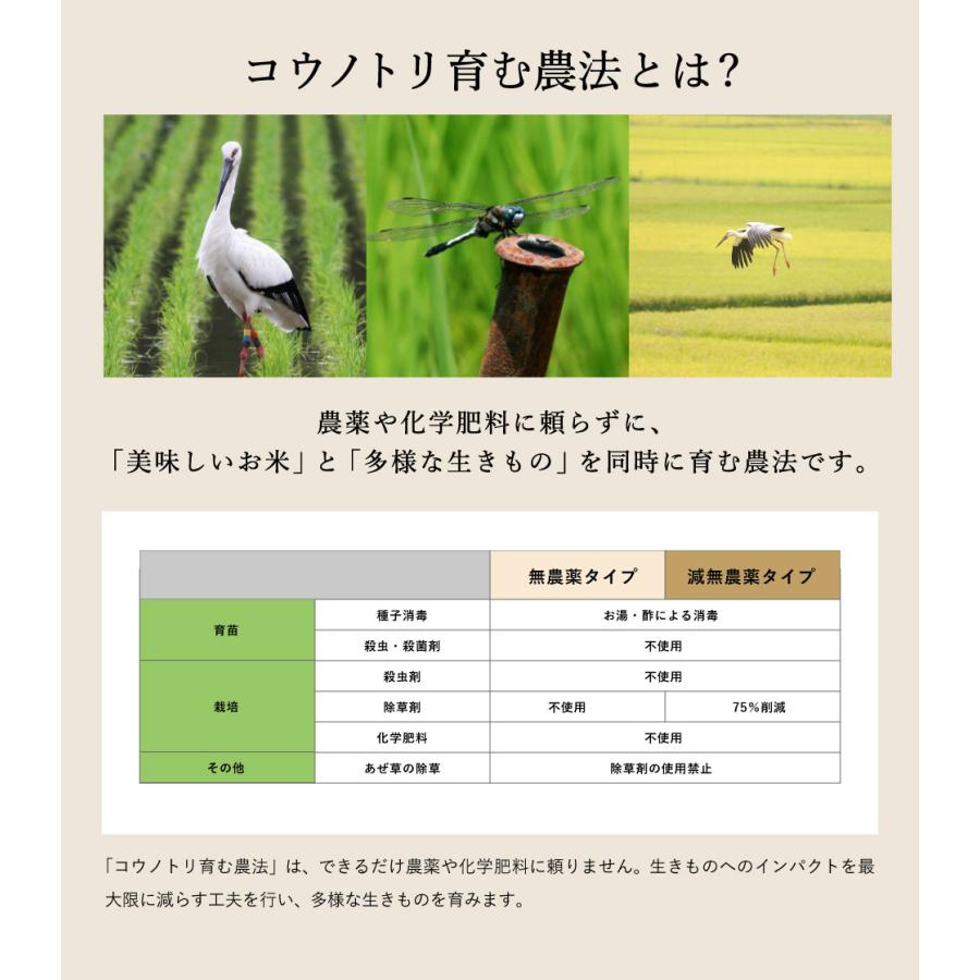 コシヒカリ 令和7年産 無農薬 玄米 無化学肥料 送料無料 玄米 2kg