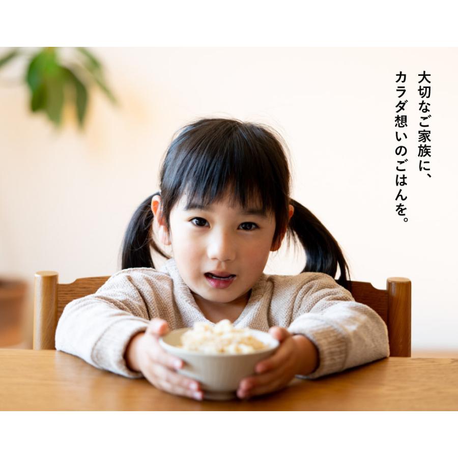 コシヒカリ 令和7年産 無農薬 玄米 無化学肥料 送料無料 玄米 2kg