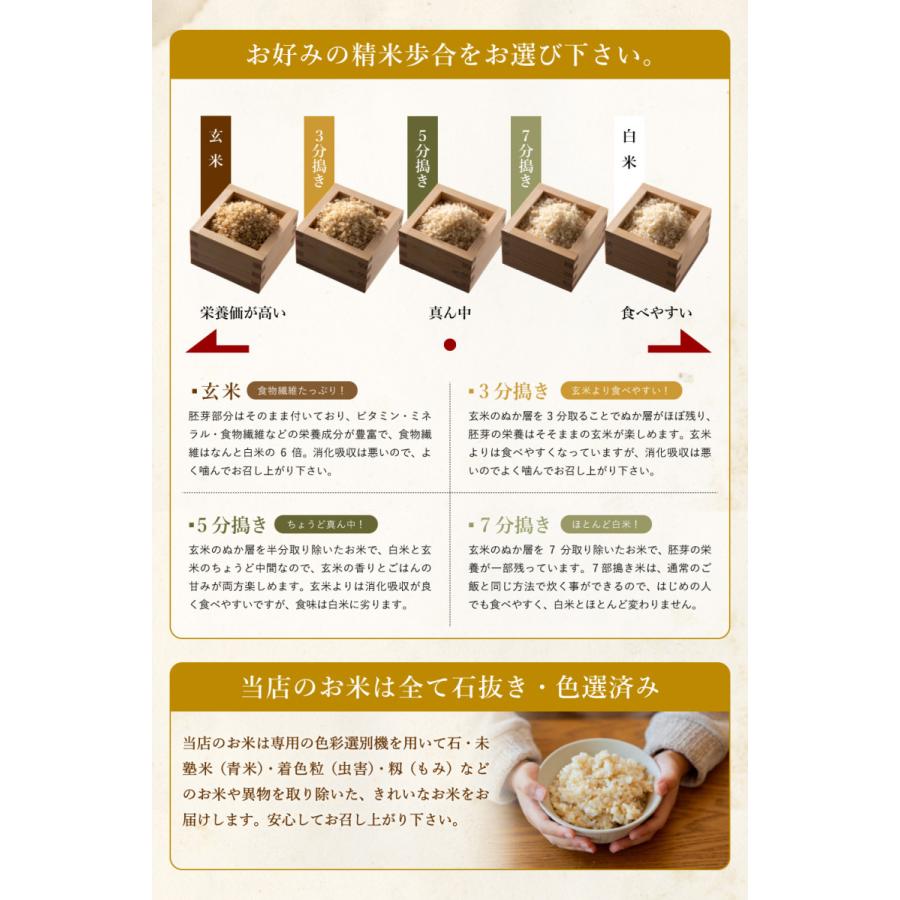 コシヒカリ 新米 令和7年産 無農薬 玄米 無化学肥料 送料無料 玄米 2kg