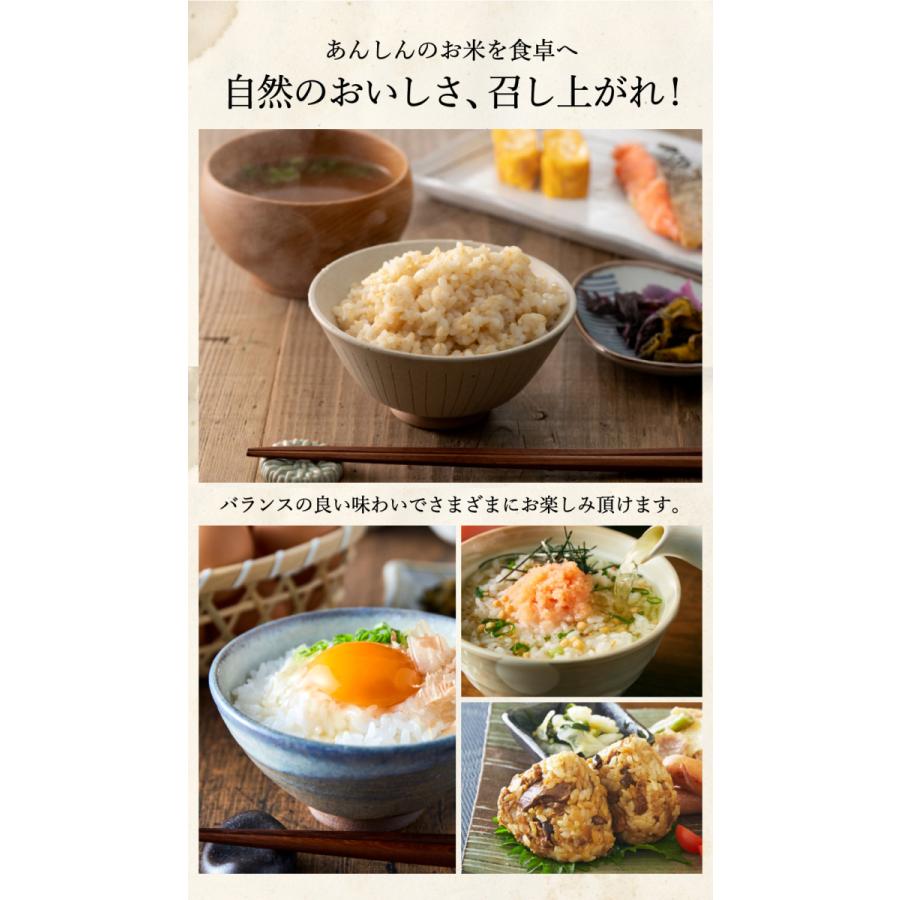 コシヒカリ 令和7年産 無農薬 玄米 無化学肥料 送料無料 玄米 2kg