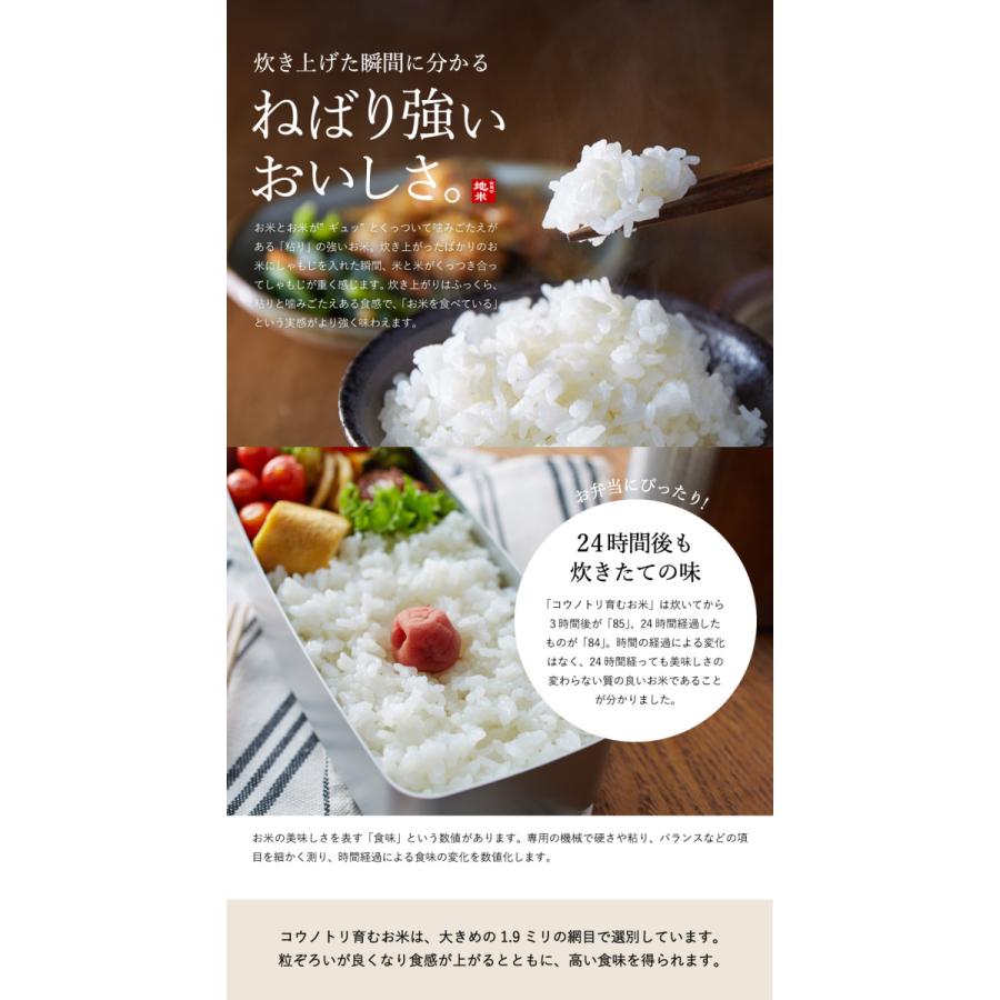 コシヒカリ 新米 令和6年産 無農薬 玄米 無化学肥料 送料無料 コシヒカリ 新米 令和6年産 無農薬 玄米 無化学肥料 送料無料
