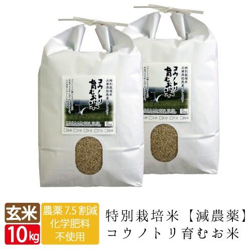 令和6年産 減農薬 無化学肥料 送料無料 玄米 10kg 5kg×2袋 食べる健康 