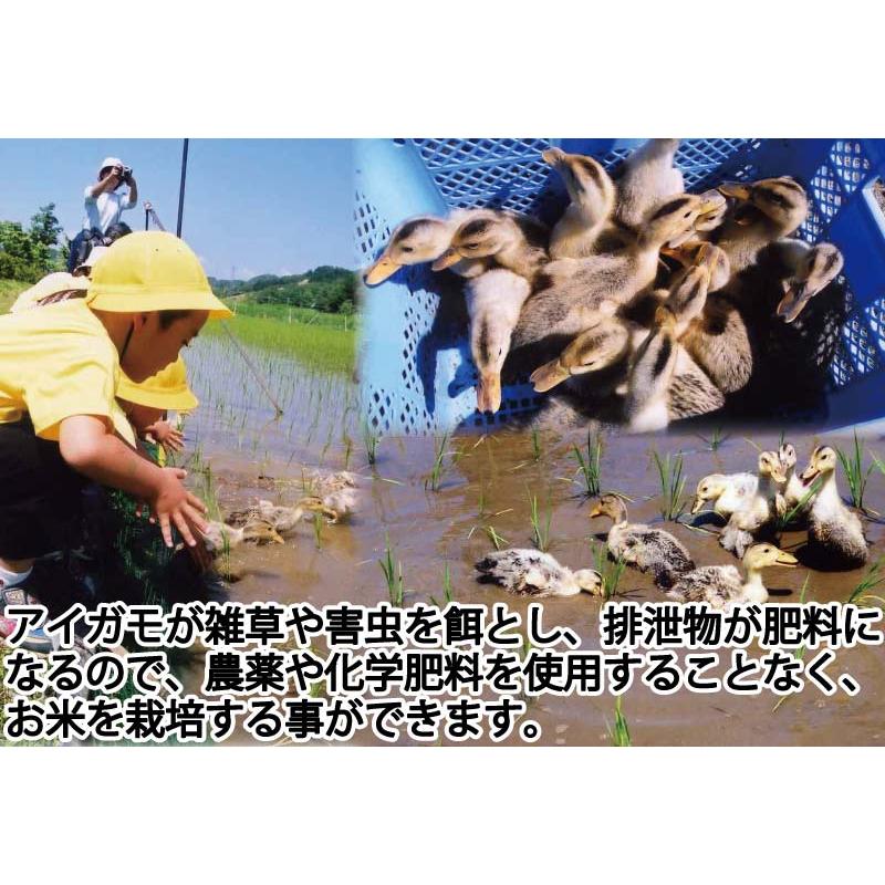 令和7年産 あいがも栽培 玄米 30kg 無農薬 無化学 あいがも農法 西日本