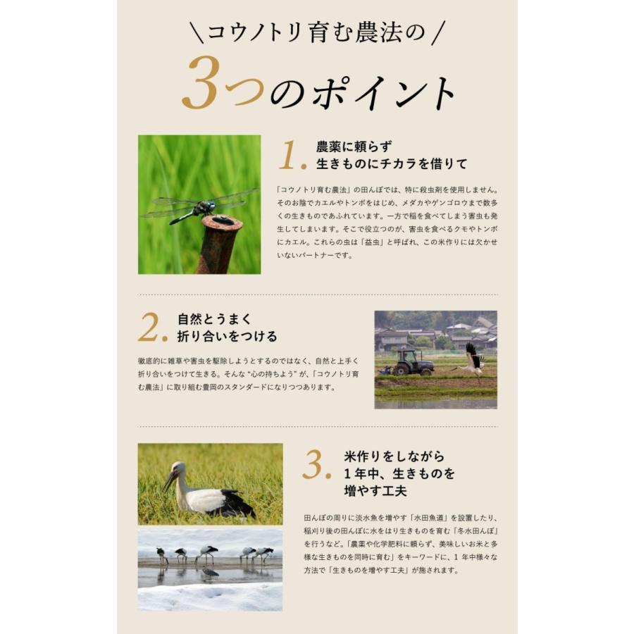 新米 令和5年産 送料無料 無農薬 無化学食べる健康！食べる貢献！コウノトリ育むお米 玄米 30kg 精米可 コシヒカリ特A｜jigomeya｜05