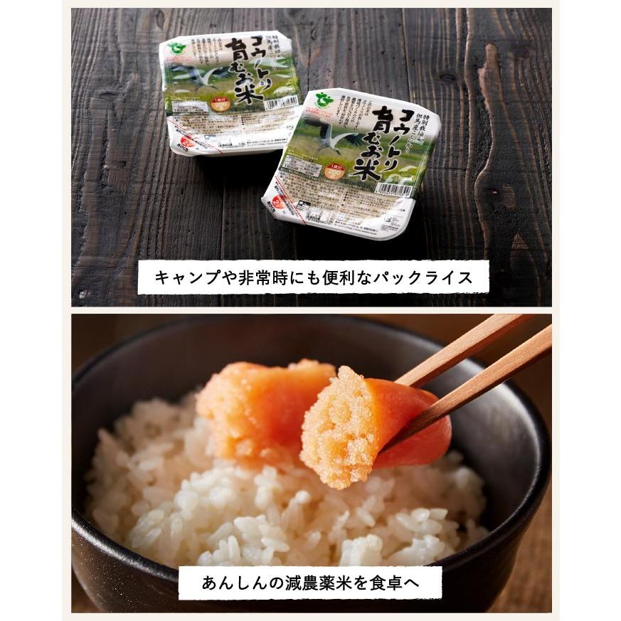 コシヒカリ 減農薬 コウノトリ育むお米 パックご飯 1ケース 200g×24