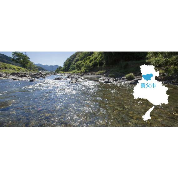 兵庫の名水 但馬天然水 ミネラルウォーター 軟水 送料無料 550ml 24本