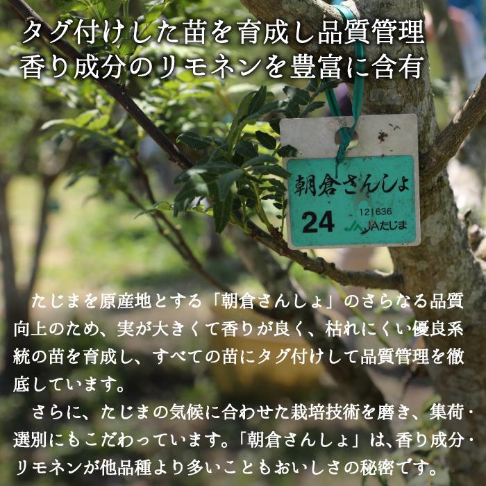 冷凍 朝倉さんしょ 2kg 実山椒 山椒の実 : たじまんま 地米屋 - 通販