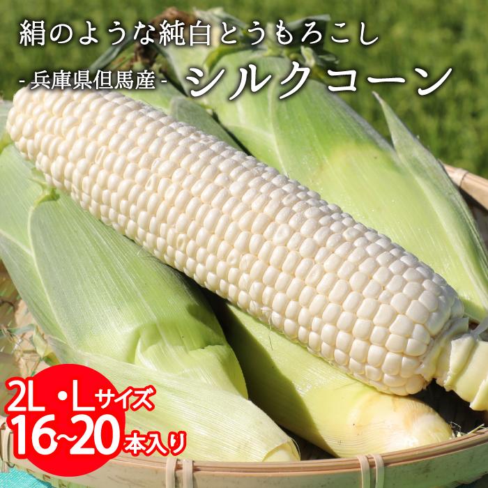 甘みたっぷり まるでフルーツ 兵庫県但馬産 生 シルクコーン 8〜10本入