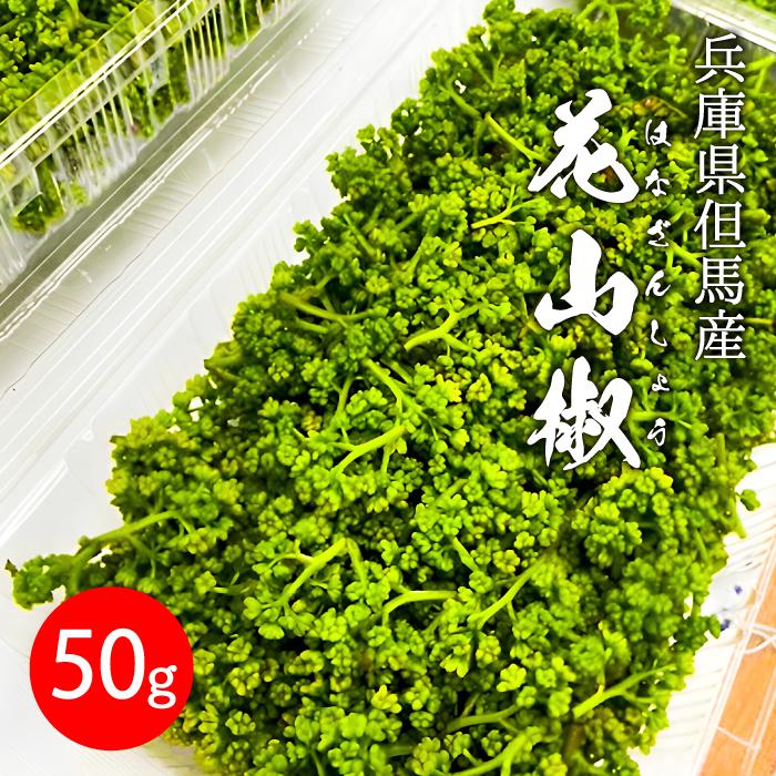 予約 4月上旬発送】 生 花山椒 約 50g 数量限定商品 希少 収穫したてを