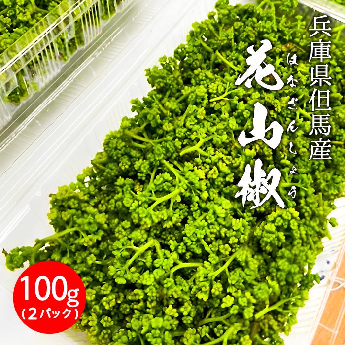 予約 4月上旬発送】 生 花山椒 約 100g 50g×2 数量限定商品 希少 収穫