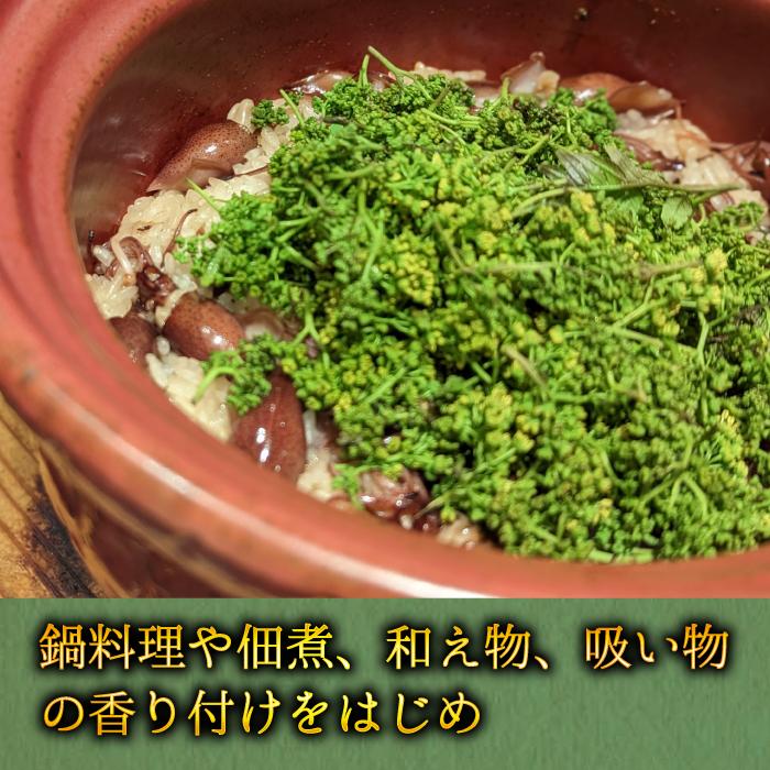 予約 4月上旬発送】 生 花山椒 約 50g 数量限定商品 希少 収穫したてを