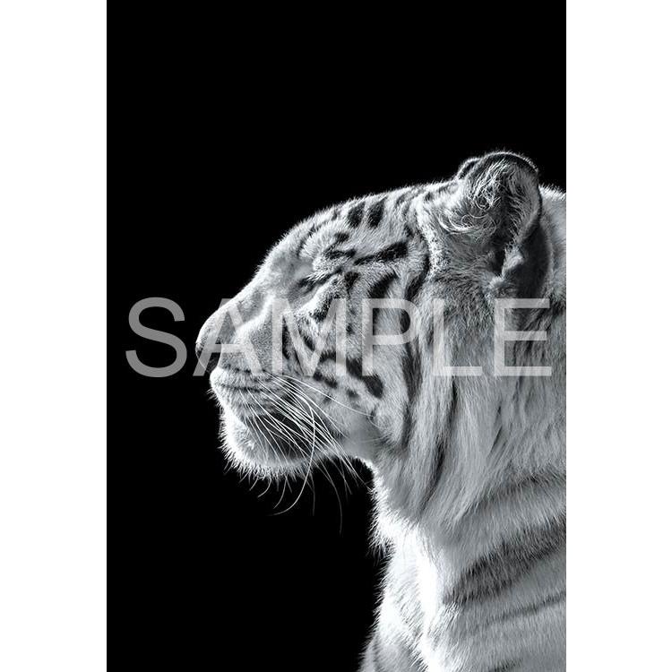 エポック社（EPOCH） ジグソーパズル 300ピース The Zoological Garden