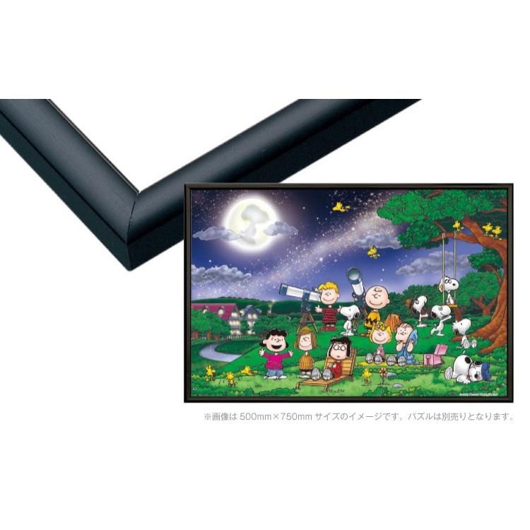 ジグソーパズル パネルマックス　No.14 / 10　ブラック 50×75cm （ラッピング対象外）    EPP-66-314（Yahoo!・ジグソークラブ）