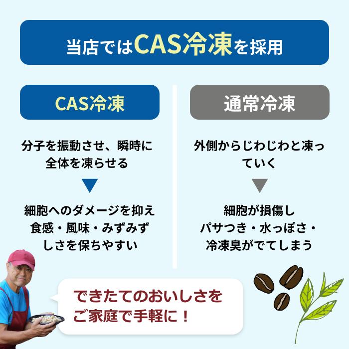 コーヒー豆 珈琲 ブラジル ロイヤルブレンド フクダトミオDOTベース