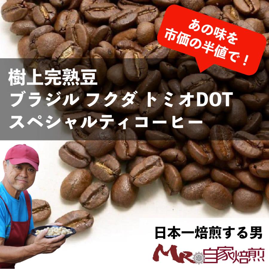 スペシャルティコーヒー コーヒー豆 珈琲 ブラジル フクダトミオDOT