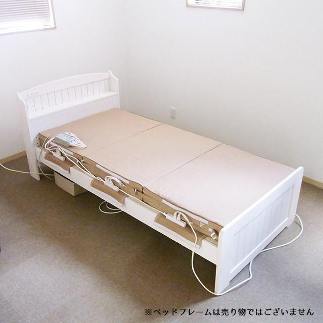 全身磁気療法ベッド 100万円からの【ベーシックプラン 全身磁気療法ベッド 100万円からの【ベーシックプラン
