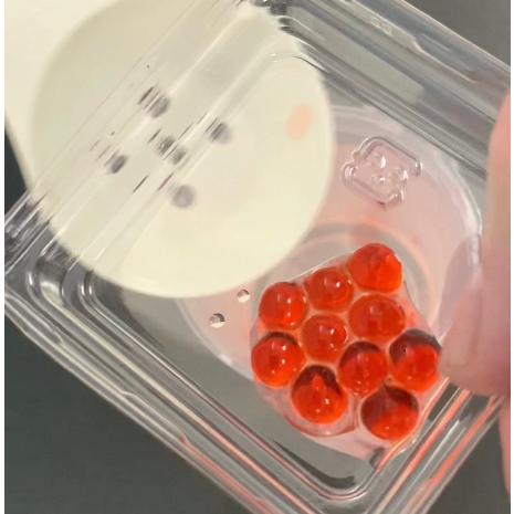 実験くん 062 人工イクラ 光るクラゲ キット つかめる水 体験 実験くん ヤフー店 通販 Yahoo ショッピング