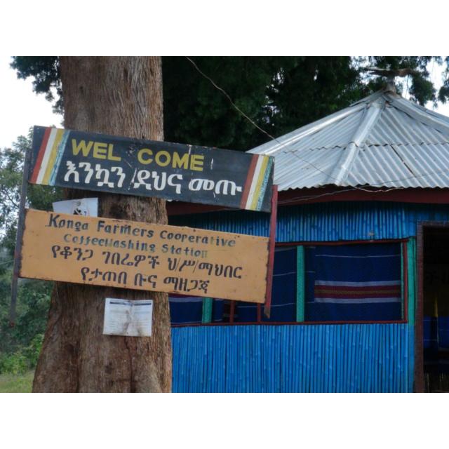 SDGs 有機栽培コーヒー生豆1kg エチオピア・モカ・イルガチェフェ・コンガ（オーガニック/フェアトレード） | オーガニック | 05