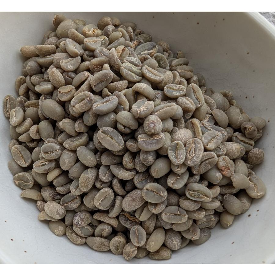 SDGs 有機栽培コーヒー生豆1kg エチオピア・モカ・イルガチェフェ・コンガ（オーガニック/フェアトレード） | オーガニック | 01