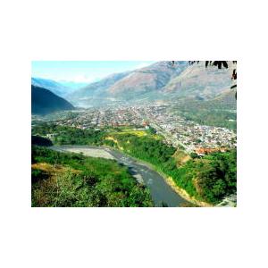 SDGs有機栽培コーヒー生豆1kg ペルー・モンターニャ・ベロニカ（オーガニック/フェアトレード） | オーガニック | 04