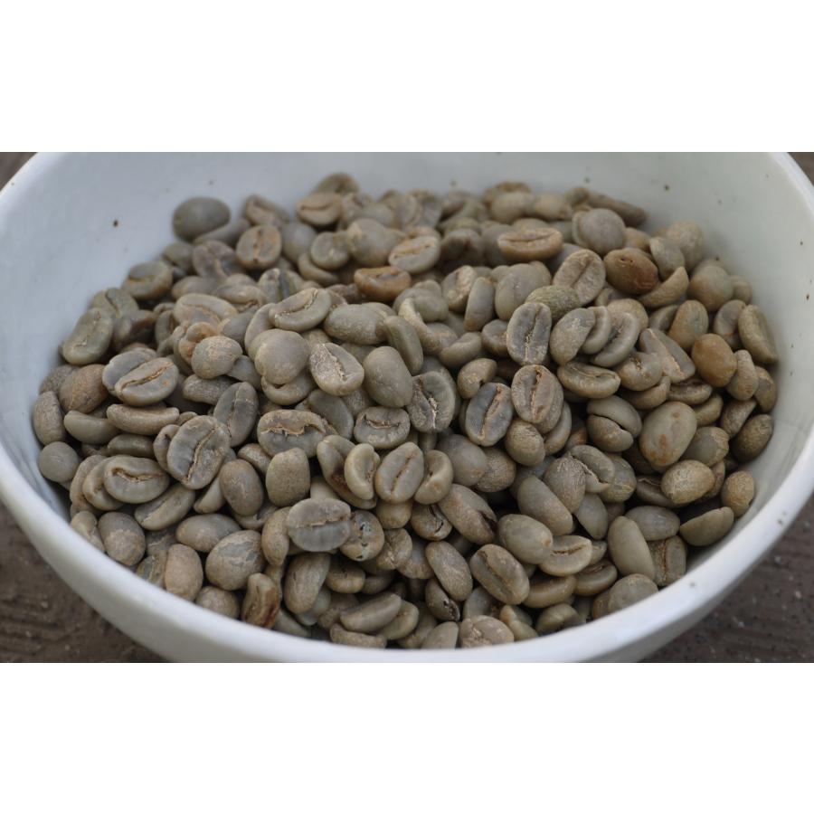 SDGs有機栽培コーヒー生豆1kg ペルー・モンターニャ・ベロニカ（オーガニック/フェアトレード） | オーガニック | 01