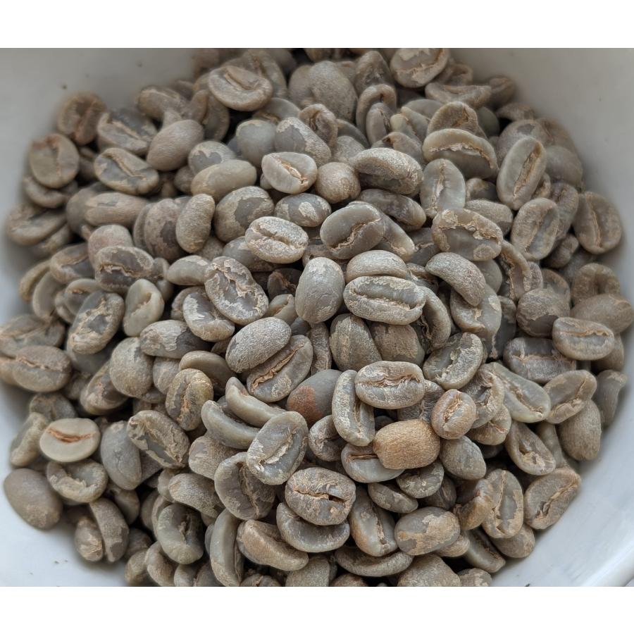 SDGs 有機栽培コーヒー生豆1kg メキシコ・シエラ・マードレ（オーガニック/フェアトレード） | オーガニック | 01