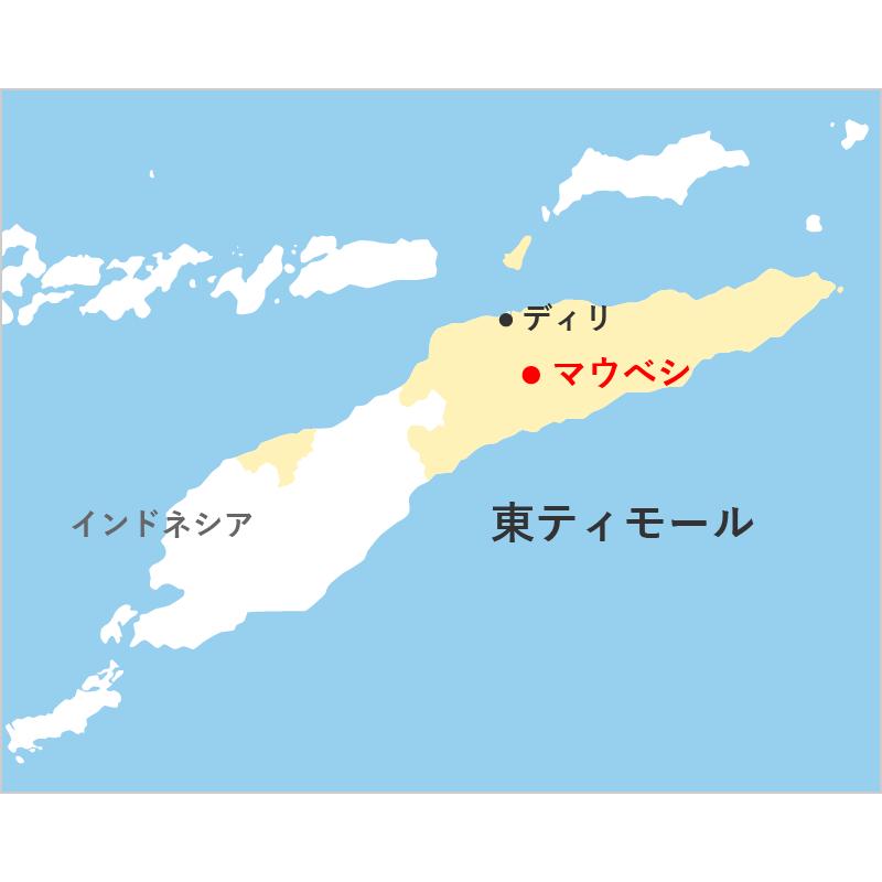 SDGs 有機栽培コーヒー生豆1kg 東ティモール マウベシ | オーガニック | 07