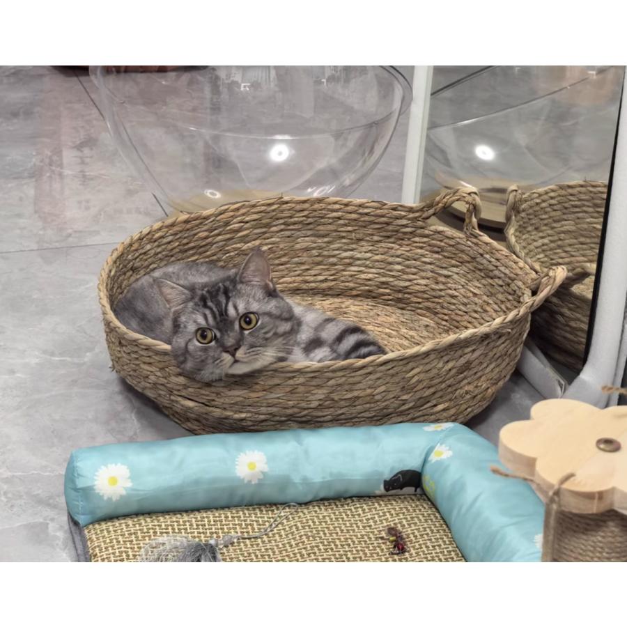 イギリス　アンティーク風な柳のベッド　犬用　猫　ペット用ベッド　バスケット イギリス アンティーク風な柳のベッド 犬用 猫 ペット用ベッド