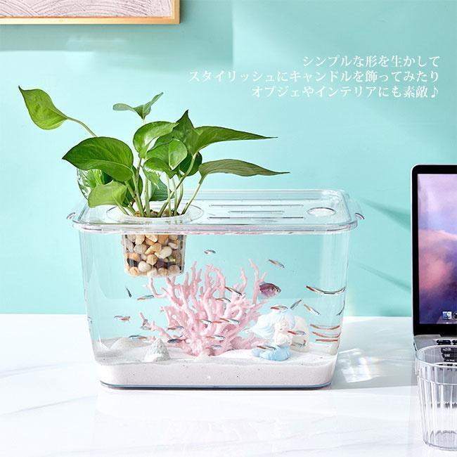 金魚鉢 メダカ 透明 水槽 花瓶 アクアリウム ボトルアクアリウム